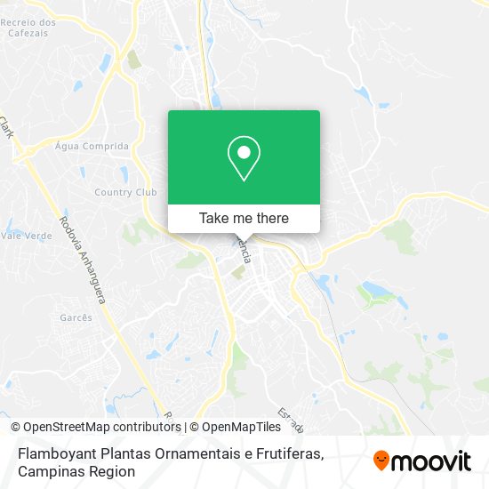 Flamboyant Plantas Ornamentais e Frutiferas map