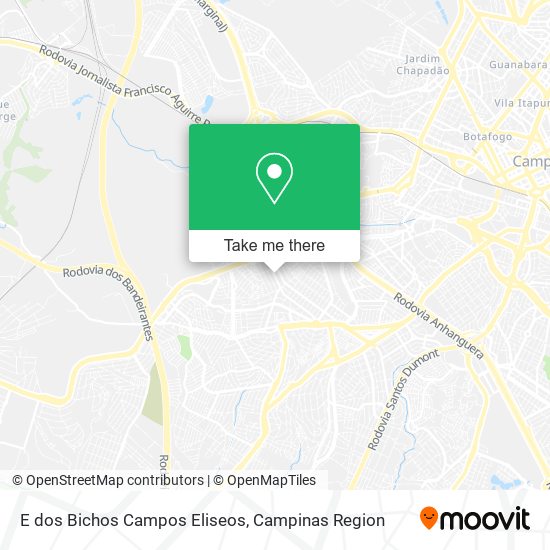 Mapa E dos Bichos Campos Eliseos