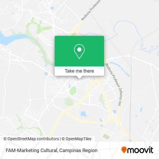 FAM-Marketing Cultural map