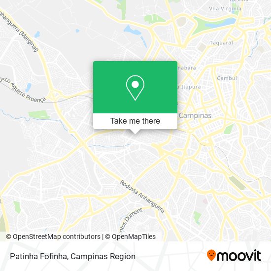 Mapa Patinha Fofinha