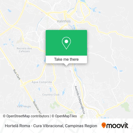 Hortelã Roma - Cura Vibracional map