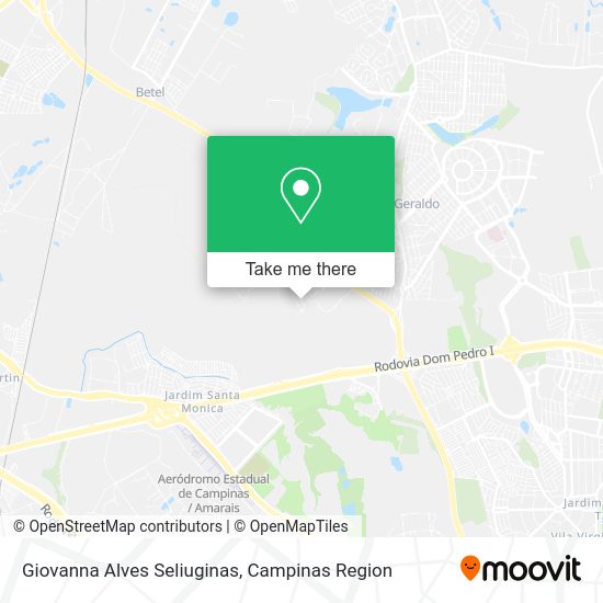 Giovanna Alves Seliuginas map
