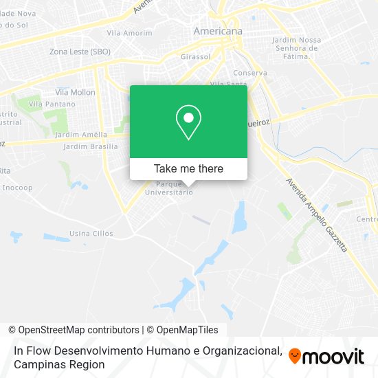 In Flow Desenvolvimento Humano e Organizacional map