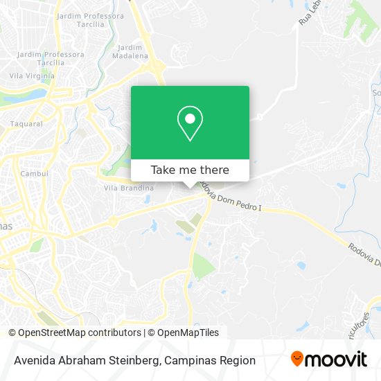 Avenida Abraham Steinberg map