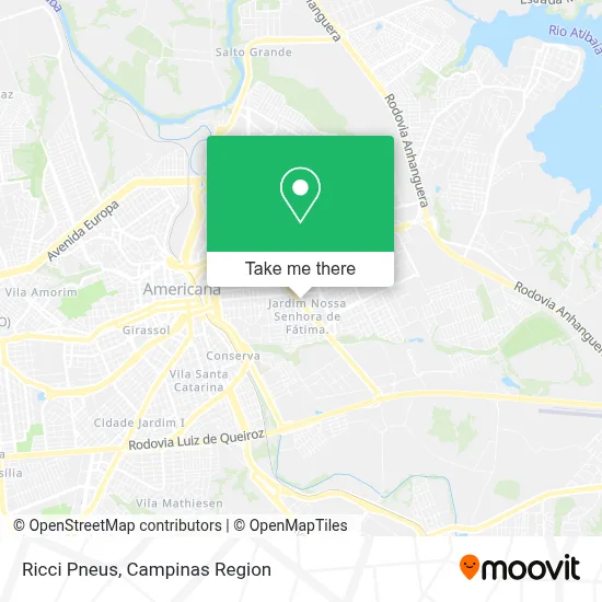 Ricci Pneus map