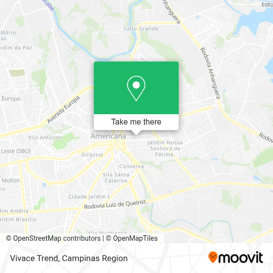 Vivace Trend map
