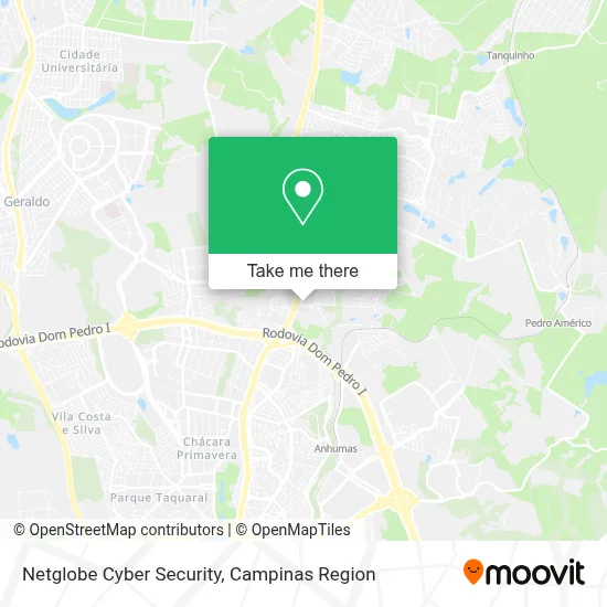 Netglobe Cyber Security map