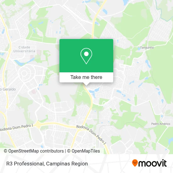 R3 Professional map