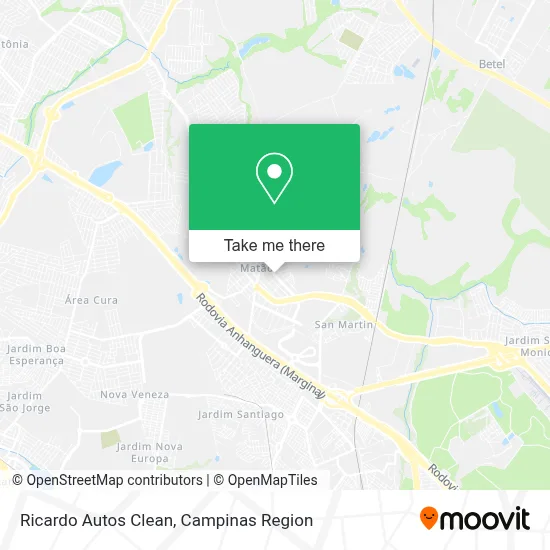 Ricardo Autos Clean map