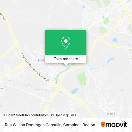 Rua Wilson Domingos Consulin map