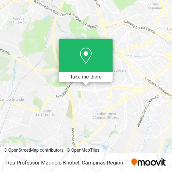 Rua Professor Mauricio Knobel map