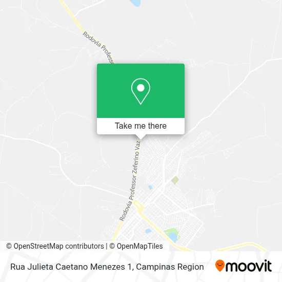 Rua Julieta Caetano Menezes 1 map
