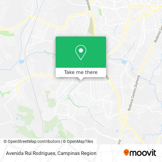 Mapa Avenida Rui Rodrigues
