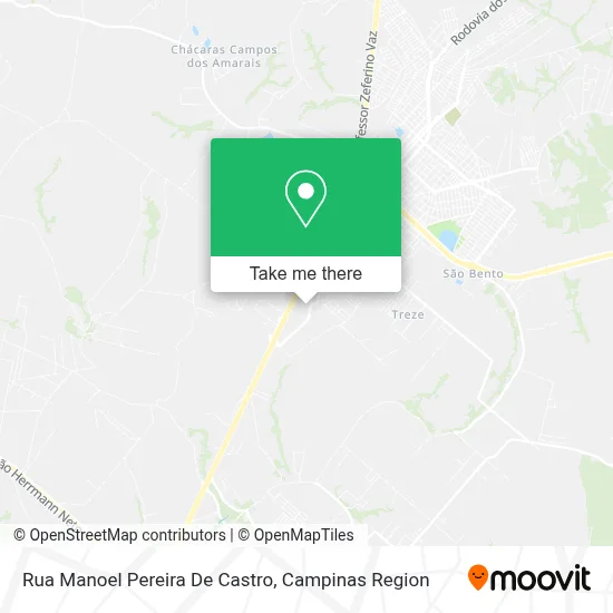 Rua Manoel Pereira De Castro map