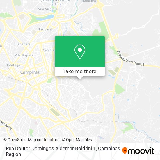 Rua Doutor Domingos Aldemar Boldrini 1 map