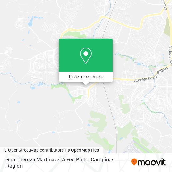 Rua Thereza Martinazzi Alves Pinto map