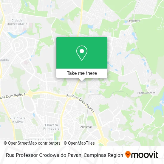 Rua Professor Crodowaldo Pavan map