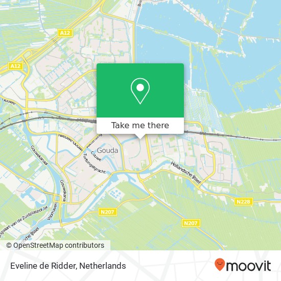 Eveline de Ridder, Burgemeester Martenssingel 15 map