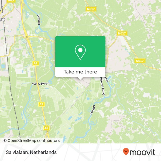 Salvialaan, 5271 RJ Sint-Michielsgestel Karte