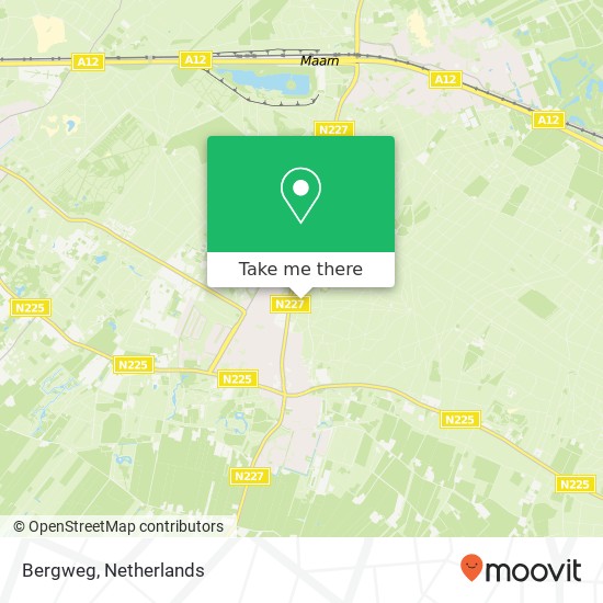 Bergweg, 3941 RN Doorn map