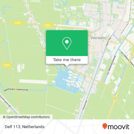 Delf 113, 9642 JK Veendam map