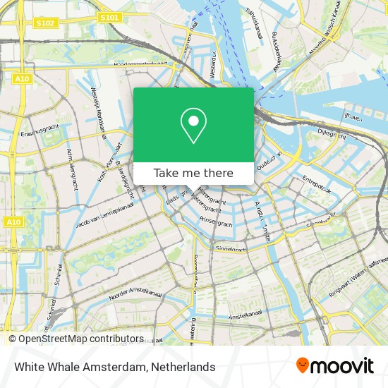 White Whale Amsterdam map