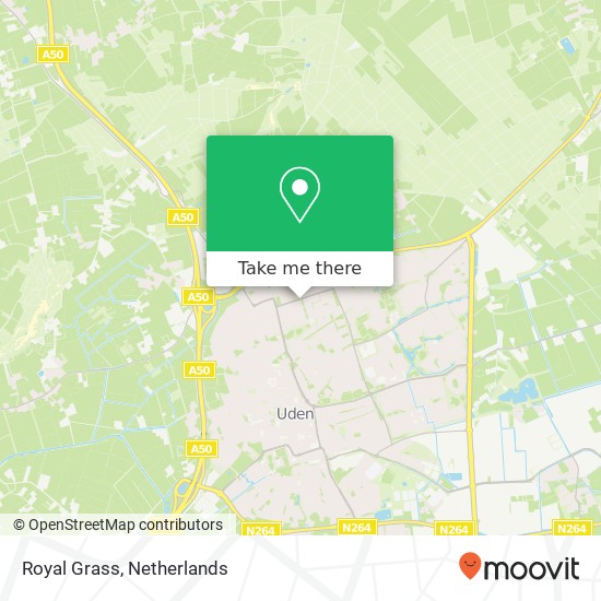 Royal Grass, Muziekplein 67 map