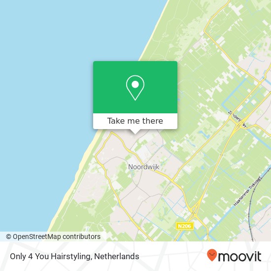 Only 4 You Hairstyling, Pieter Bedijnstraat 15 map