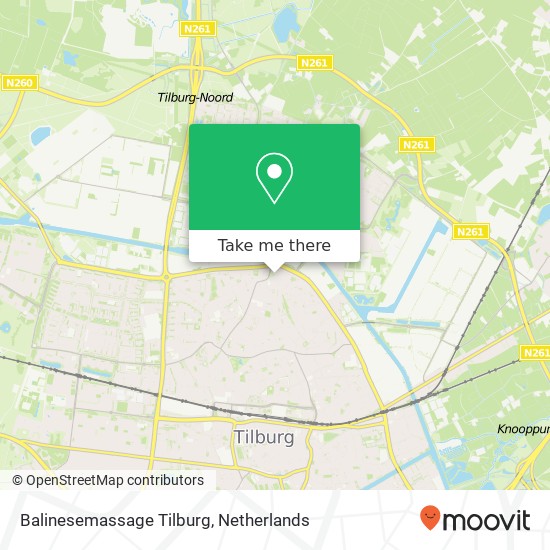 Balinesemassage Tilburg, Professor Huizingastraat map