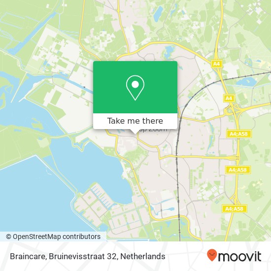 Braincare, Bruinevisstraat 32 Karte