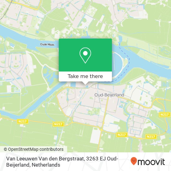 Van Leeuwen Van den Bergstraat, 3263 EJ Oud-Beijerland map