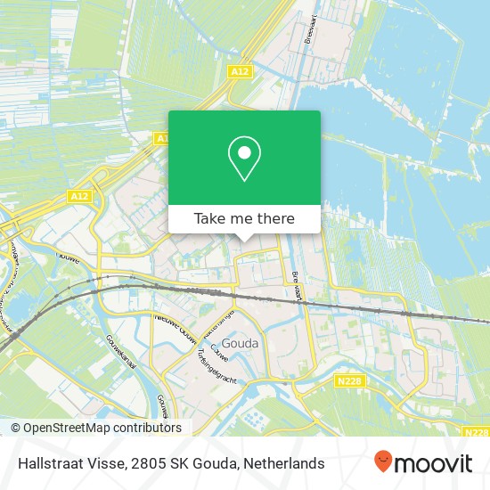 Hallstraat Visse, 2805 SK Gouda map