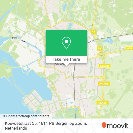 Koevoetstraat 55, 4611 PB Bergen op Zoom Karte