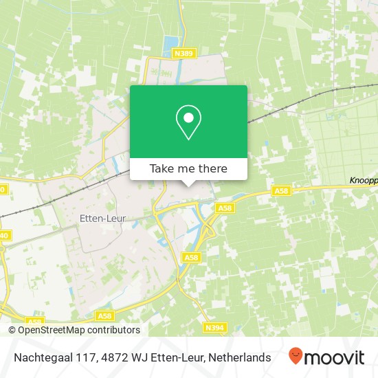 Nachtegaal 117, 4872 WJ Etten-Leur map