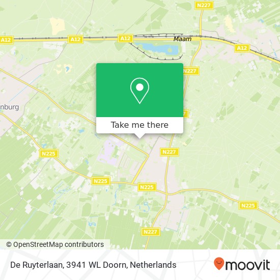 De Ruyterlaan, 3941 WL Doorn Karte