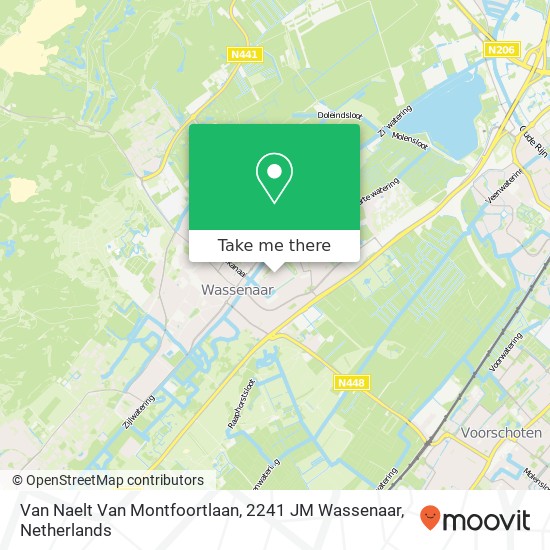 Van Naelt Van Montfoortlaan, 2241 JM Wassenaar Karte