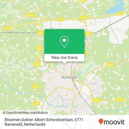 Bloemen Dokter Albert Schweitzerlaan, 3771 Barneveld map