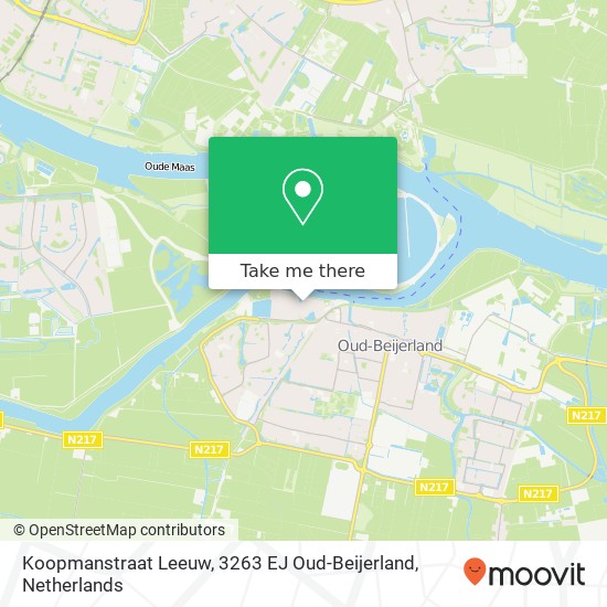 Koopmanstraat Leeuw, 3263 EJ Oud-Beijerland map