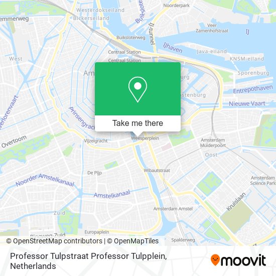 Professor Tulpstraat Professor Tulpplein map