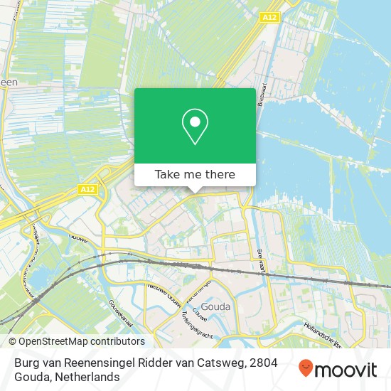 Burg van Reenensingel Ridder van Catsweg, 2804 Gouda map