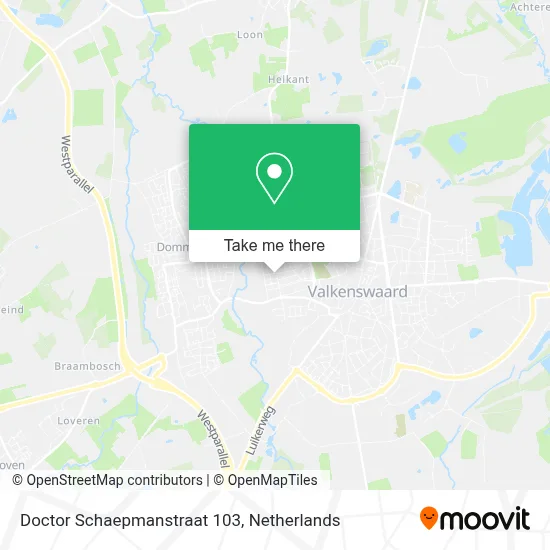 Doctor Schaepmanstraat 103 map
