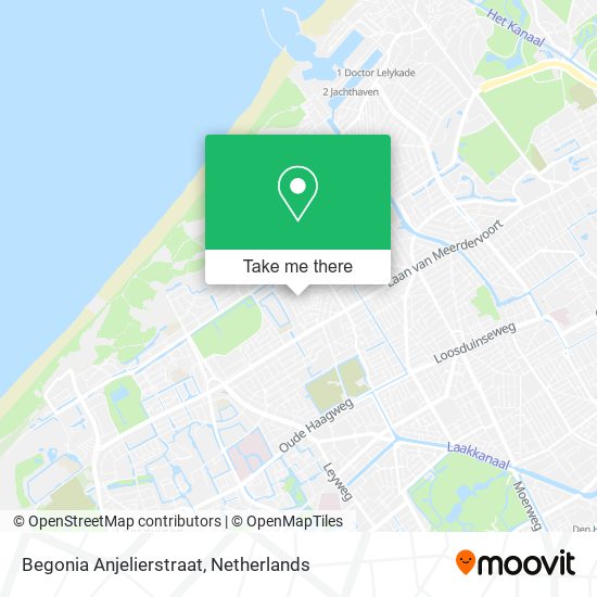 Begonia Anjelierstraat map