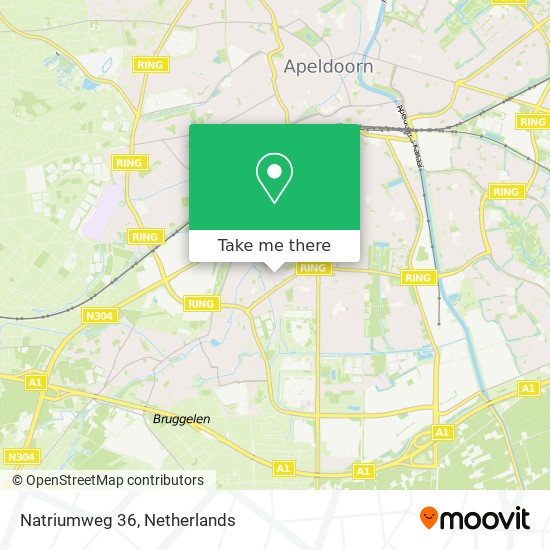 Natriumweg 36 map