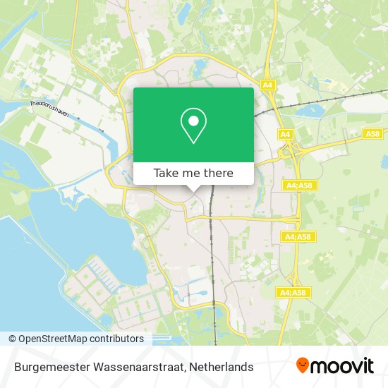 Burgemeester Wassenaarstraat Karte
