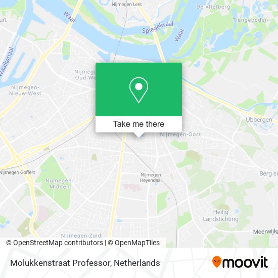 Molukkenstraat Professor map