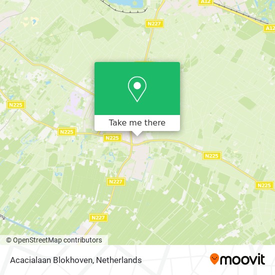 Acacialaan Blokhoven Karte