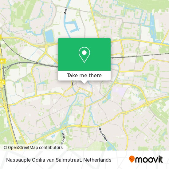 Nassauple Odilia van Salmstraat map