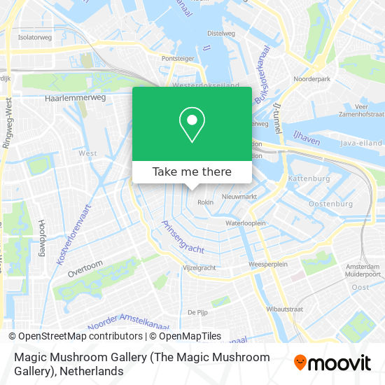 Magic Mushroom Gallery map