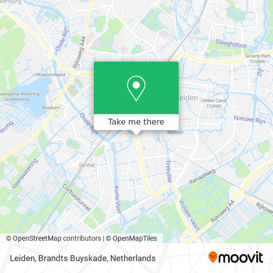 Leiden, Brandts Buyskade Karte