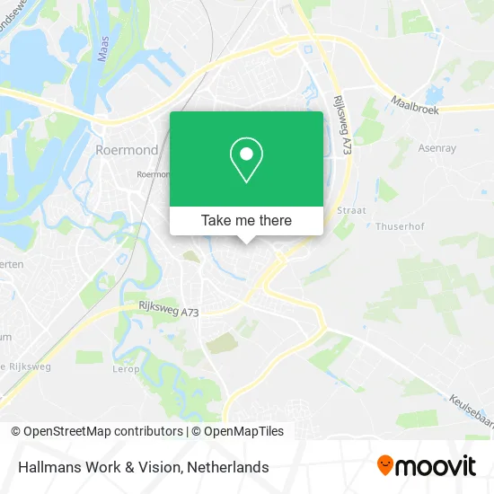 Hallmans Work & Vision map